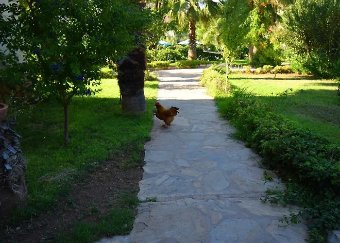 Adrasan Club Отель